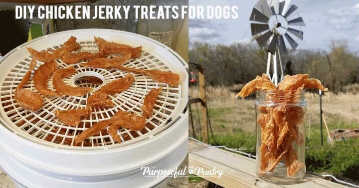 The 6 Best Dehydrators for Dog Chews, Treats, and Jerkies