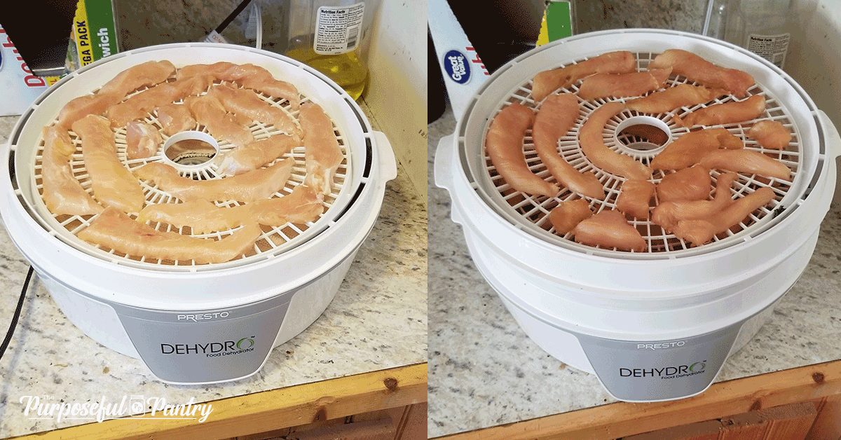 raw chicken in two stages dehydrating on a presto dehydrator
