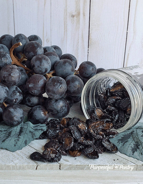 How to Dehydrate Grapes for Homemade Raisins The Purposeful Pantry