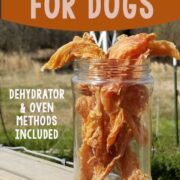 Chicken Jerky for Dogs in a mason jar on a wooden fence ledge