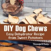 A canister of dog chews and dog chews on a wooden surface, additional chews on an Excalibur dehydrator tray