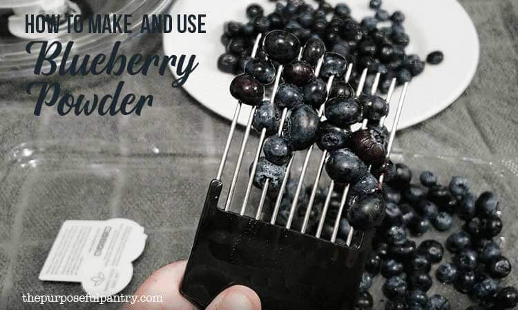 Blueberries pierced onto a metal hair pick preparing for dehydrating