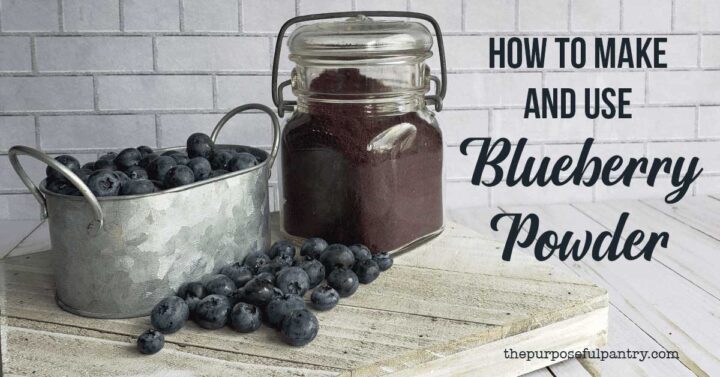 Fresh blueberries in a metal bowl with jar of powdered blueberries all on a wooden background.