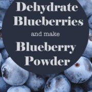 Fresh Blueberries as as a background photo for text of "How to Dehdydrate Blueberries and make blueberry powder