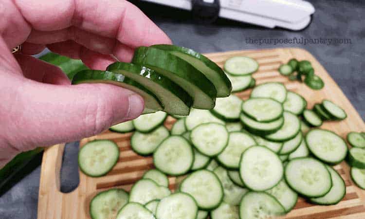 Example of the correct size to cut cucumbers for dehydrating - 1/4"