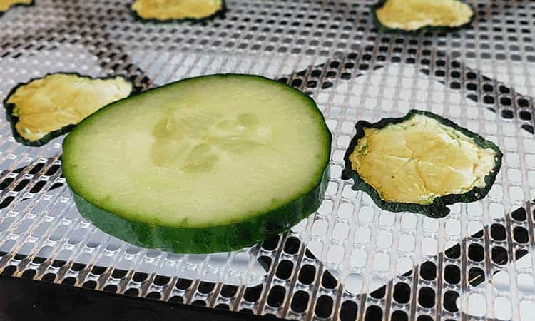 Fresh cucumber vs dehydrated on Excalibur dehydrator tray