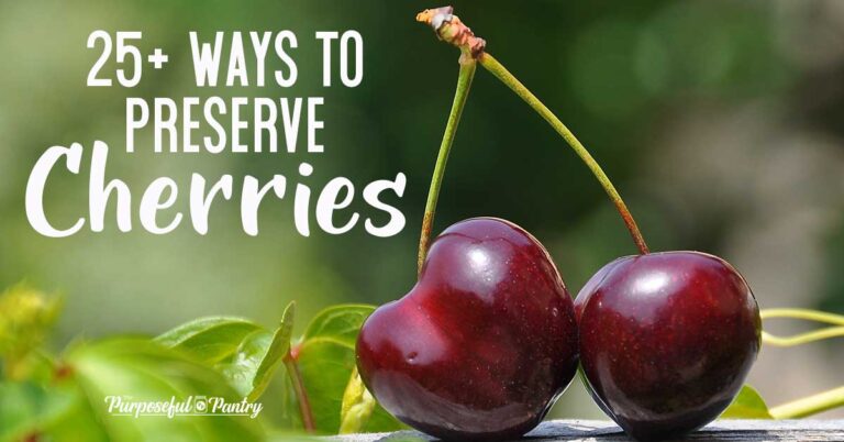 How to Dehydrate Cherries with a Dehydrator or Oven - The Purposeful Pantry