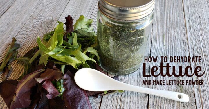 Fresh lettuce, a spoon, and a mason jar of dehydrated lettuce on wooden background