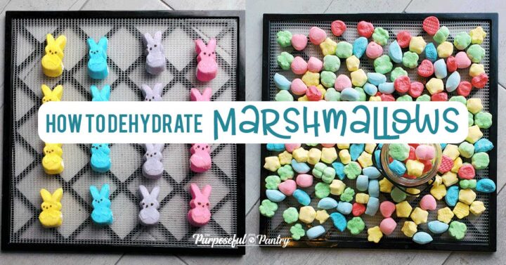 Excalibur Dehydrator tray of Peeps and Lucky Charm marshmallows