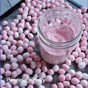 Excalibur dehydrator tray of dehydrated peppermint marshmallows and jar of marshmallow powder