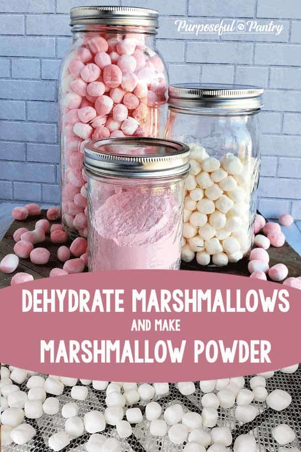 Jars of dehydrated marshmallows and marshmallow powder
