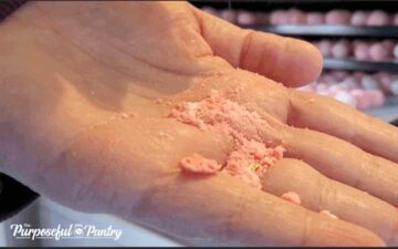 Handful of crushed dehydrated marshmallow to show final stage of dryness.