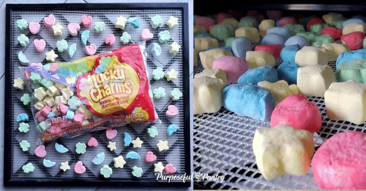 Excalibur dehydrator tray of lucky charms marshmallows before and after