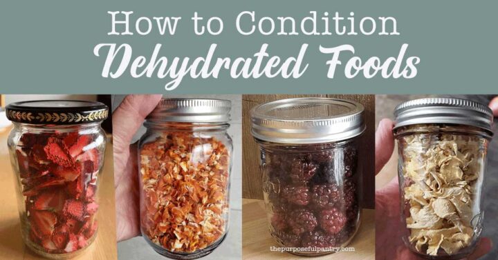 Dehydrated strawberries, carrots, raspberries and ginger in glass mason jars