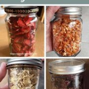 Dehydrated strawberries, carrots, ginger and raspberries on glass mason jars