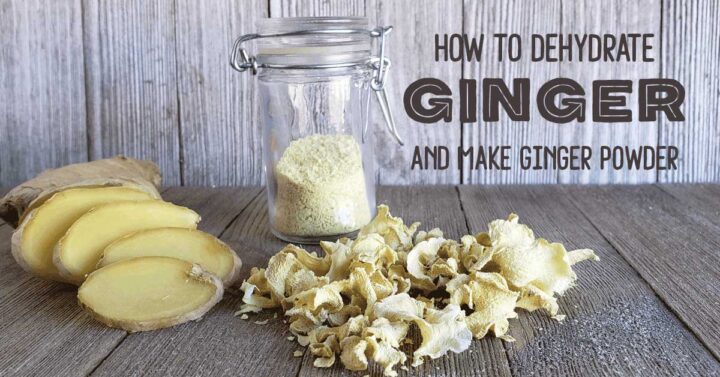 Ginger powder with ginger slices and dehydrated ginger bits on a wooden background