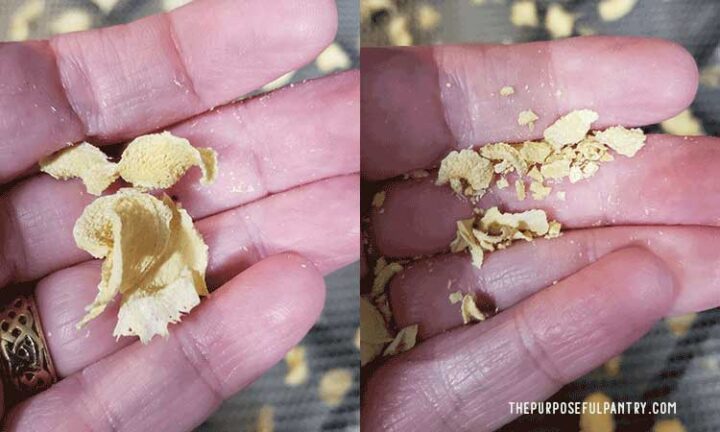 Dehydrated ginger slices in whole, and crushed, in a hand.