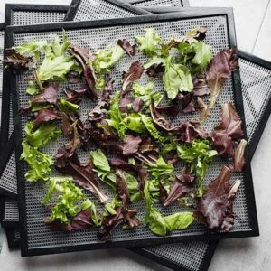 3 Excalibur Dehydrator trays of fresh spring mix lettuce