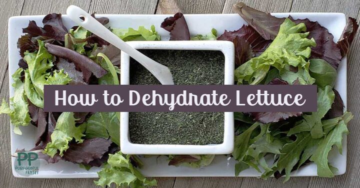 White tray of fresh spring mix lettuce and container of dehydrated powdered lettuce