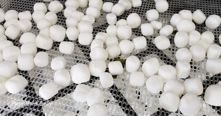 Dehydrating marshmallows on Excalibur Dehydrator trays