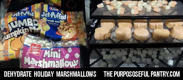 Dehydrator trays of fall flavored marshmallows for dehydrating.