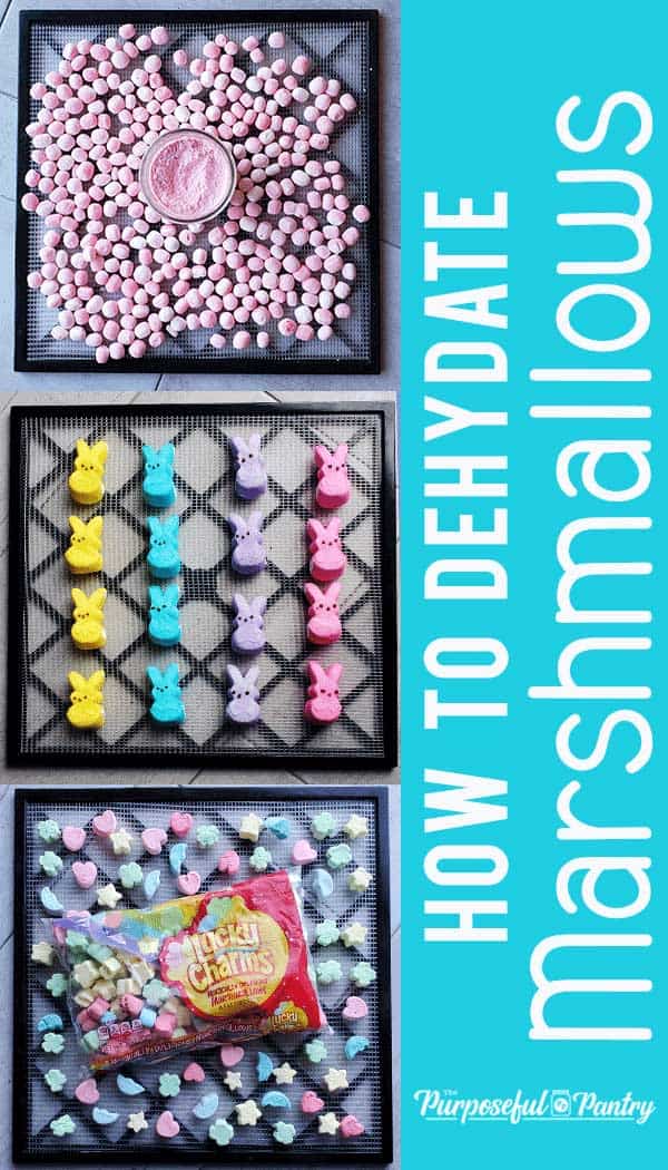 How to Dehydrate Marshmallows & Make Marshmallow Powder The