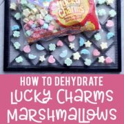 Excalibur dehydrator try of lucky charms marshmallows being dehydrated