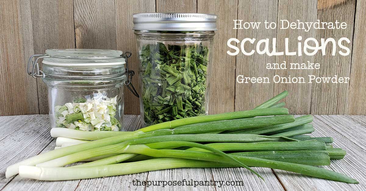 https://www.thepurposefulpantry.com/wp-content/uploads/2020/07/how-to-dehydrate-scallions-FB.jpg