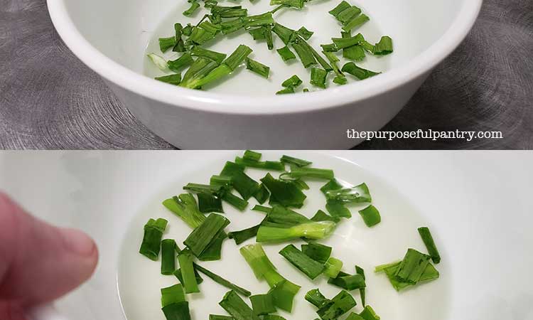 Rehydrating dried green onions in water in white bowl