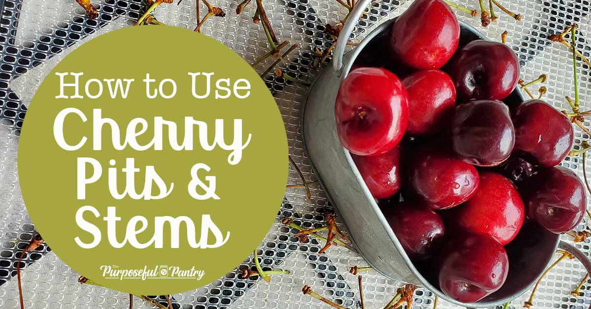 Cherries ina metal serving bowl on an Excalibur tray of dehydrated cherry stems