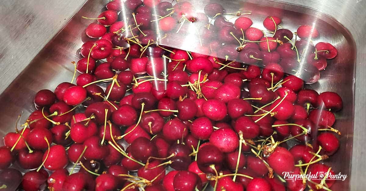 Cherries in a water bath