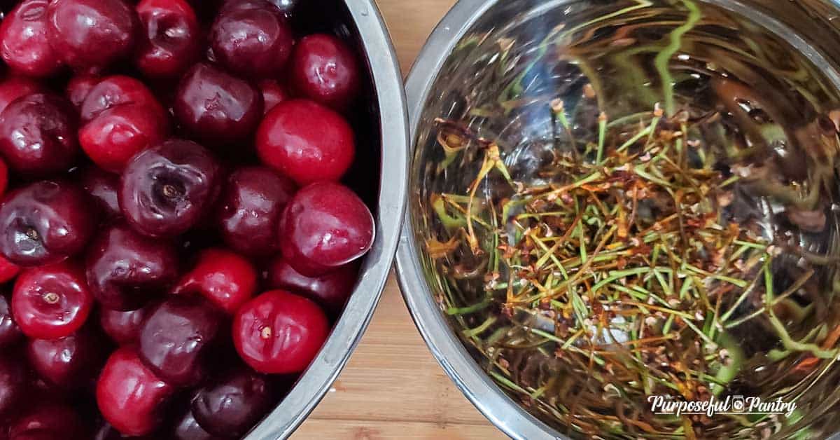 Bowl of pitted cherries and another bowl of cherry stems