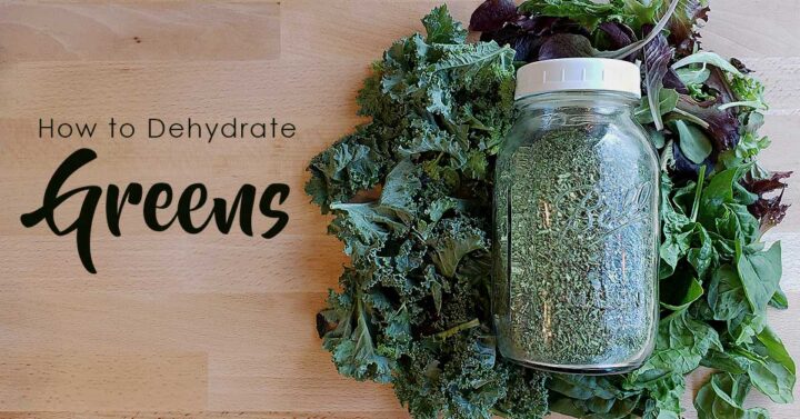 Dehydrated green powder in a large mason jar on a bed of kale, lettuce and spinach
