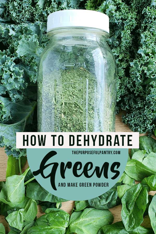 Dehydrated green powder in a mason jar on a bed of fresh kale and spinach