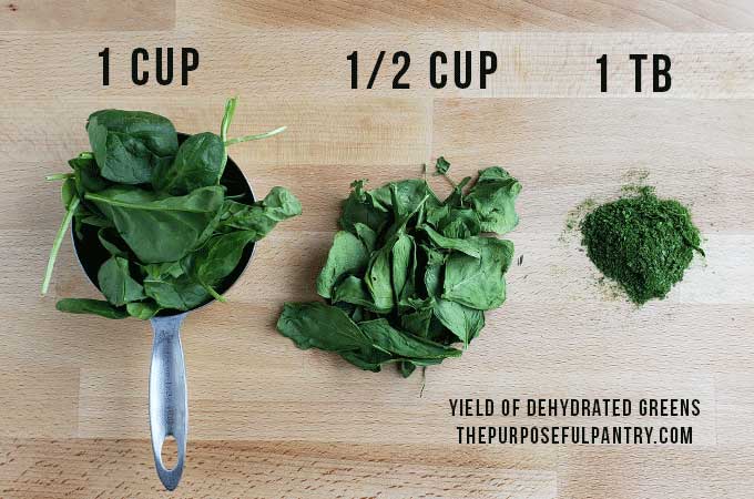 Spinach in transition from fresh to dried to powdered