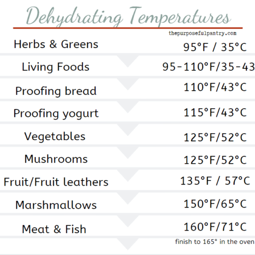How to Store Dehydrated Foods The Purposeful Pantry
