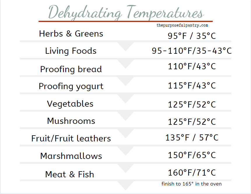 Best Temperature to Dehydrate Fruits and Vegetables