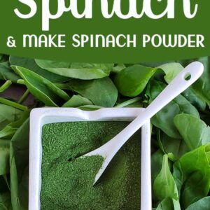 Fresh spinach leaves and a container of spinach powder