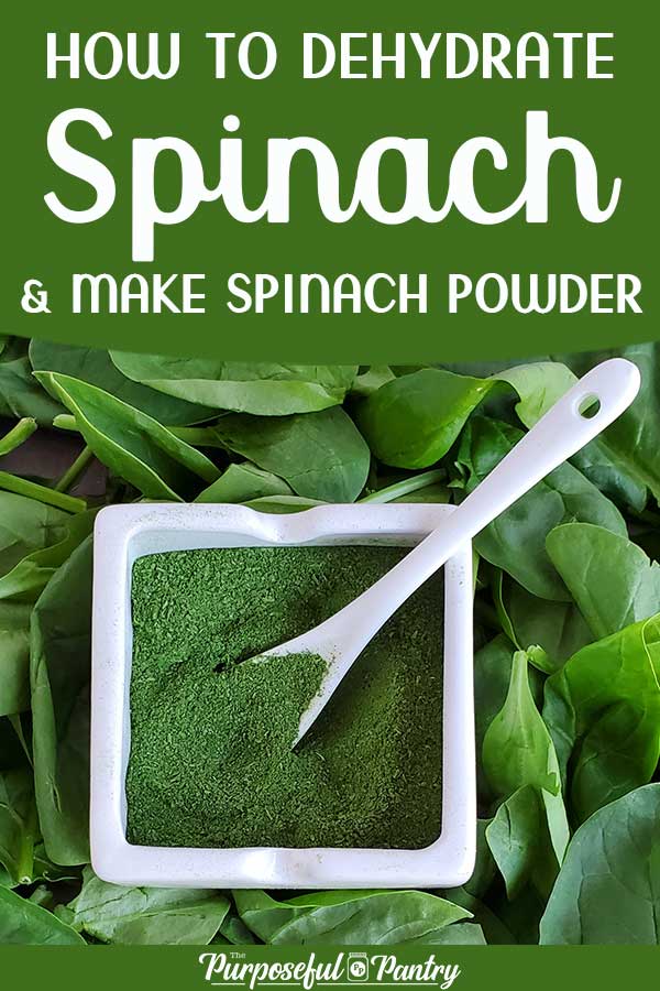 Fresh spinach leaves and a container of spinach powder