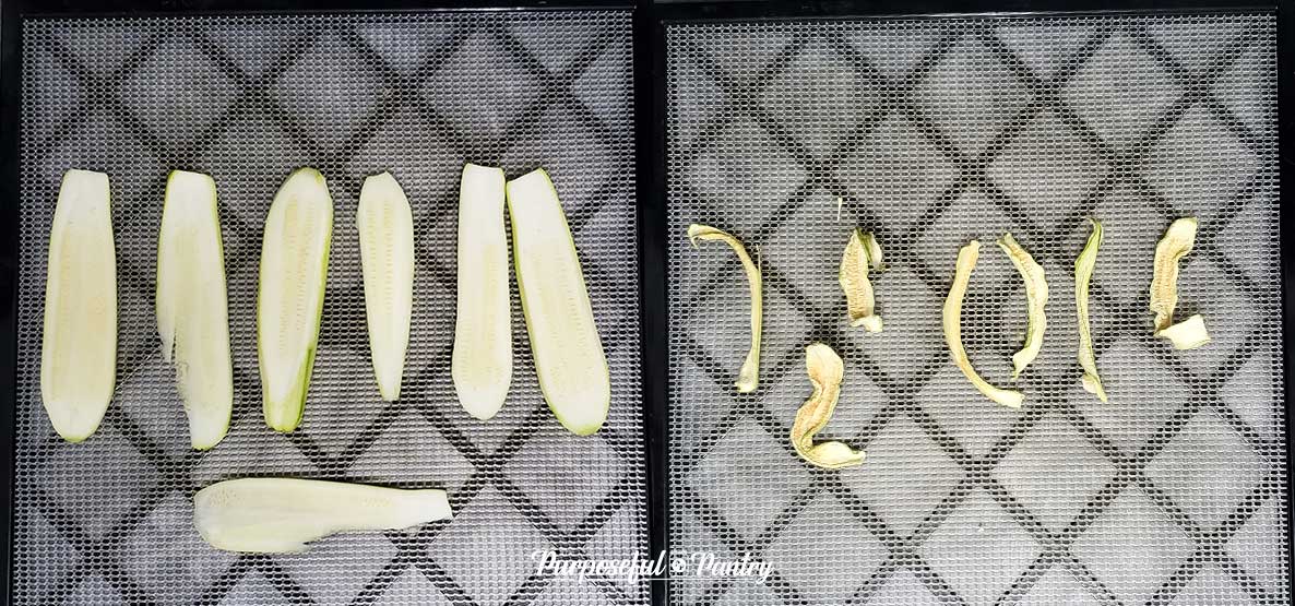 zucchini slabs before and after dehydrating