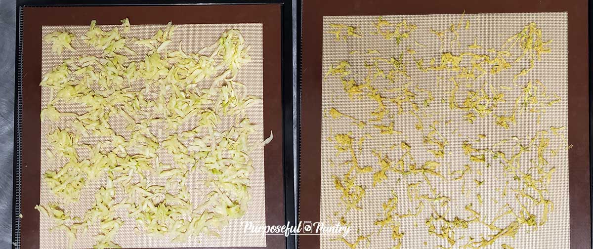 zucchini shreds before and after dehdyrating