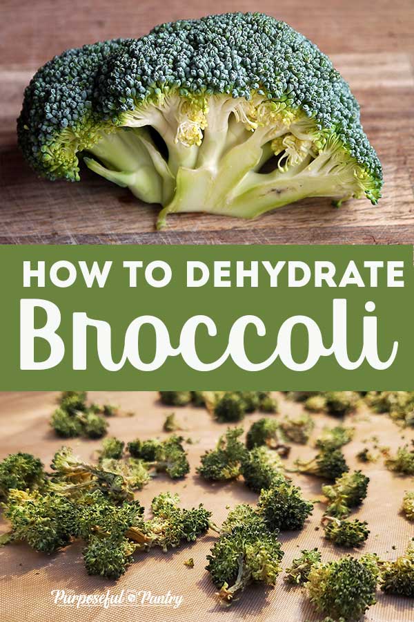 How to Dehydrate Broccoli 14 Broccoli head on wooden surface and dehydrated broccoli florets on Excalibur dehydrator tray