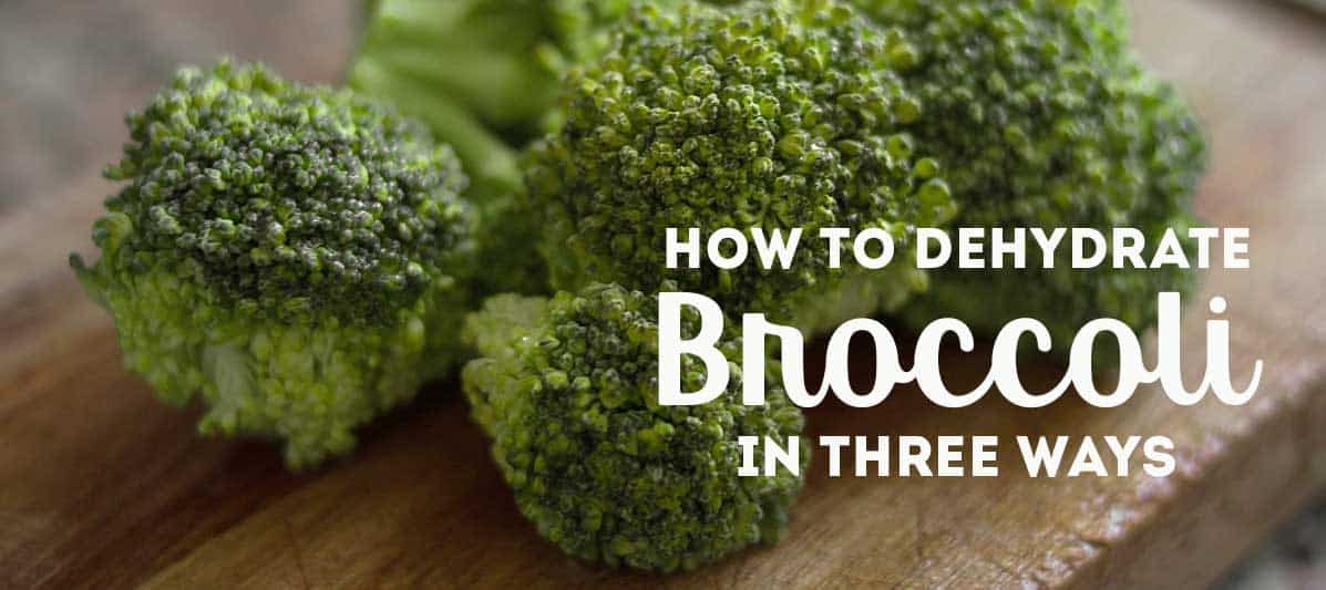 How to Dehydrate Broccoli The Purposeful Pantry