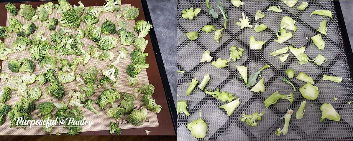 Broccoli florets and sliced stems on Excalibur dehydrator trays to dry
