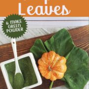 Small pumpkin and large pumpkin leaf on wooden surface with a dish of green pumpkin powder