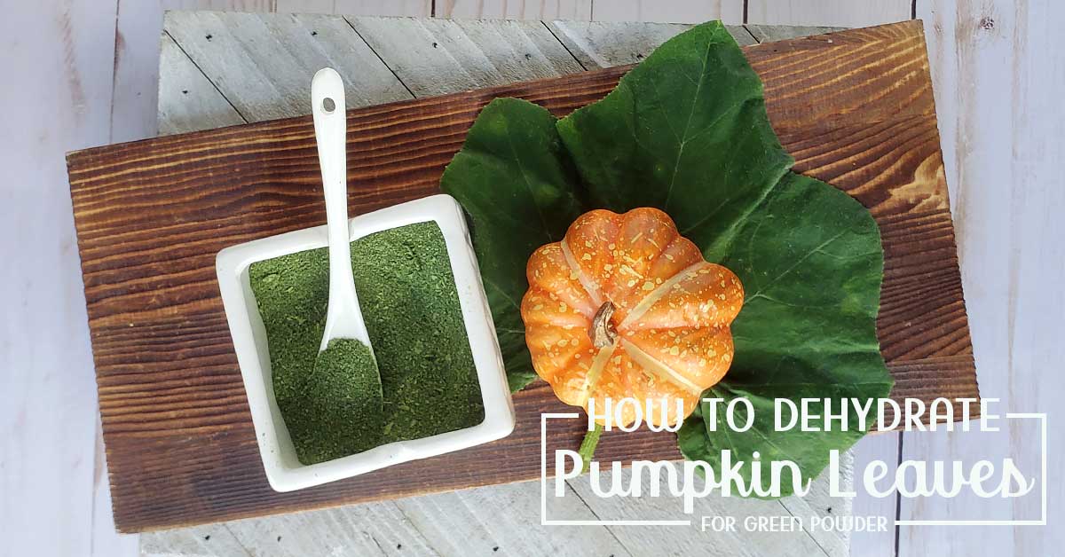 Pumpkin leaf and green pumpkin powder on a wooden surface with small pumpkin and serving dish