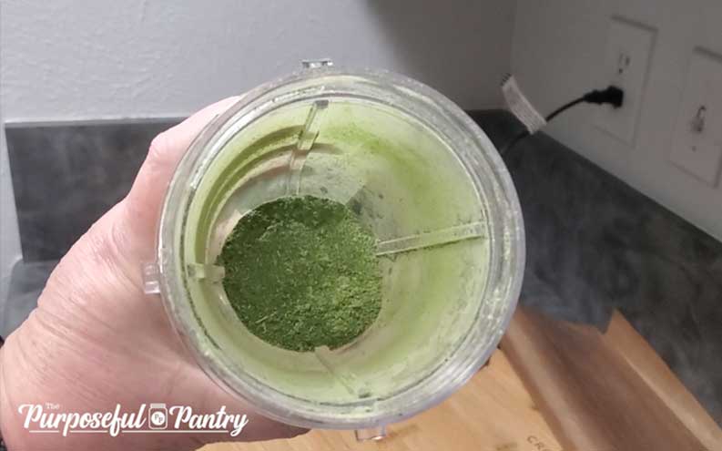 Dehydrated pumpkin leaf powder in a Nutri Ninja blender cup
