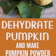 Fresh pumpkin and powdered pumpkin by dehydrating