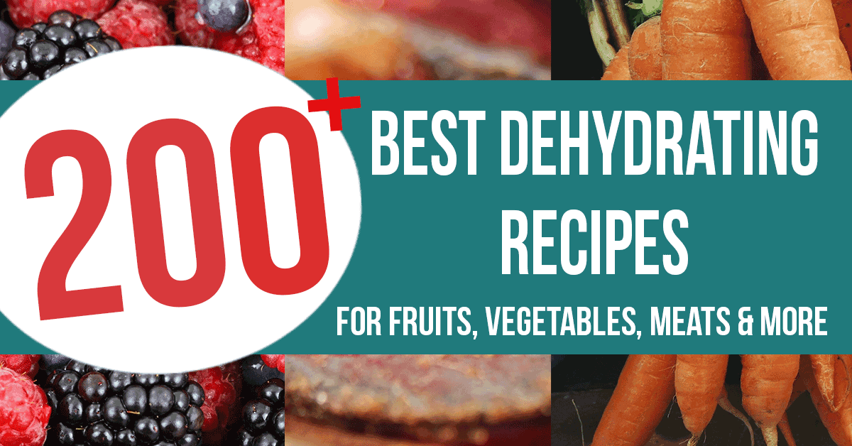 100+ Dehydrator Recipes ~ Food Dehydrator Recipes for Fruit, Veggies, Meat  & More