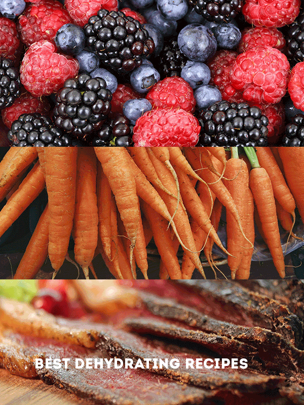 berries, carrots and jerky displayed with text overlay "best dehydrating recipes"